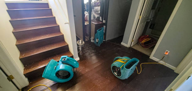 Best Odor Removal and Sanitization After Water Damage in Socorro, NM