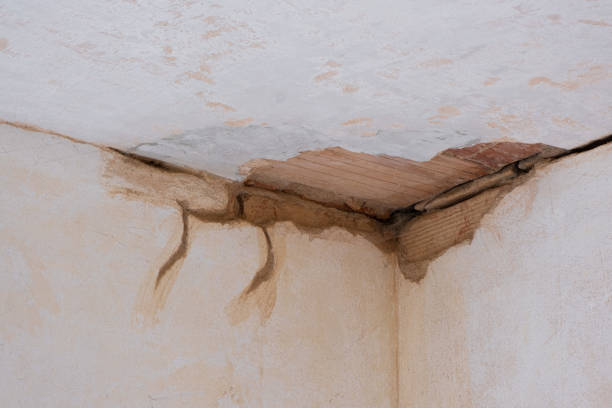 Trusted Water Damage Restoration in Socorro, NM | Fast, Reliable, and Ready to Assist You